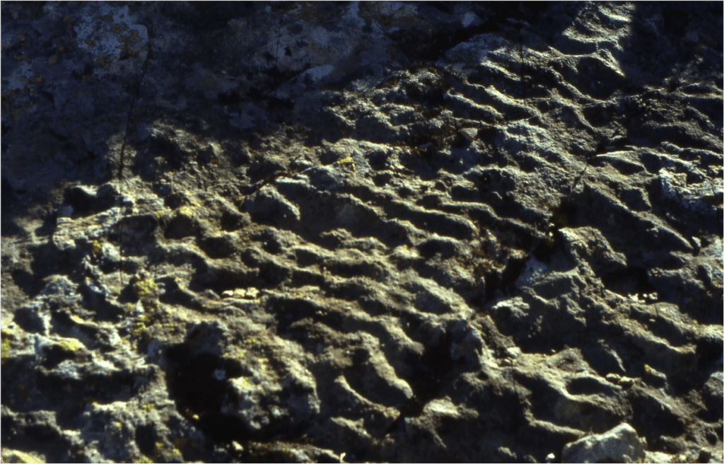 Ripple marks : les empreintes de vagues de la plage fossile.