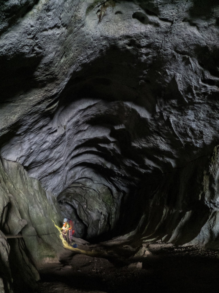 Une des galeries de la grotte Favot (Vercors). La forme ronde de la galerie montre un creusement en régime noyé (l'eau montait jusqu'au plafond). Le creusement s'est fait à la jonction de deux strates qui ont servi de guides (on devine le joint de strates à mi-hauteur de la galerie). Photo de Jeremy Boucheteil, publiée avec son aimable autorisation.