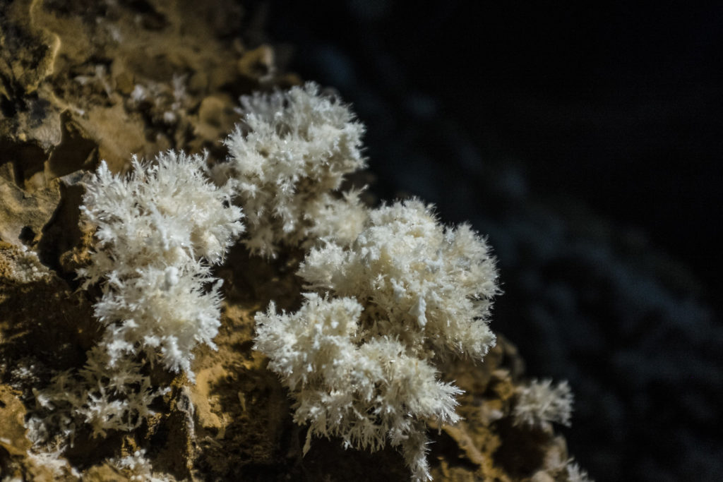 Concrétions exceptionnelles de la Grotte Vallier (Isére). Photo de Jeremy Boucheteil, publiée avec son aimable autorisation.