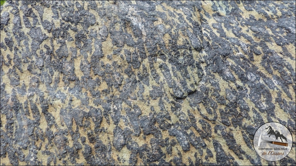 Chromite dans la serpentinite de Chamrousse.