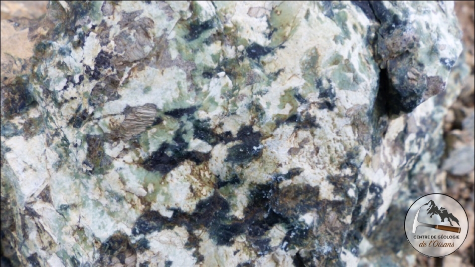 Gabbro de l'Ophiolite de Chamrousse. En blanc les feldspath, en vert la hornblende verte en en brun les pyroxènes.