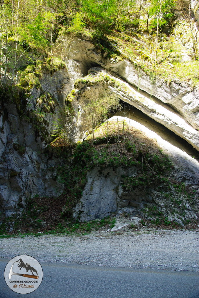 Un très joli pli du massif de la Chartreuse.