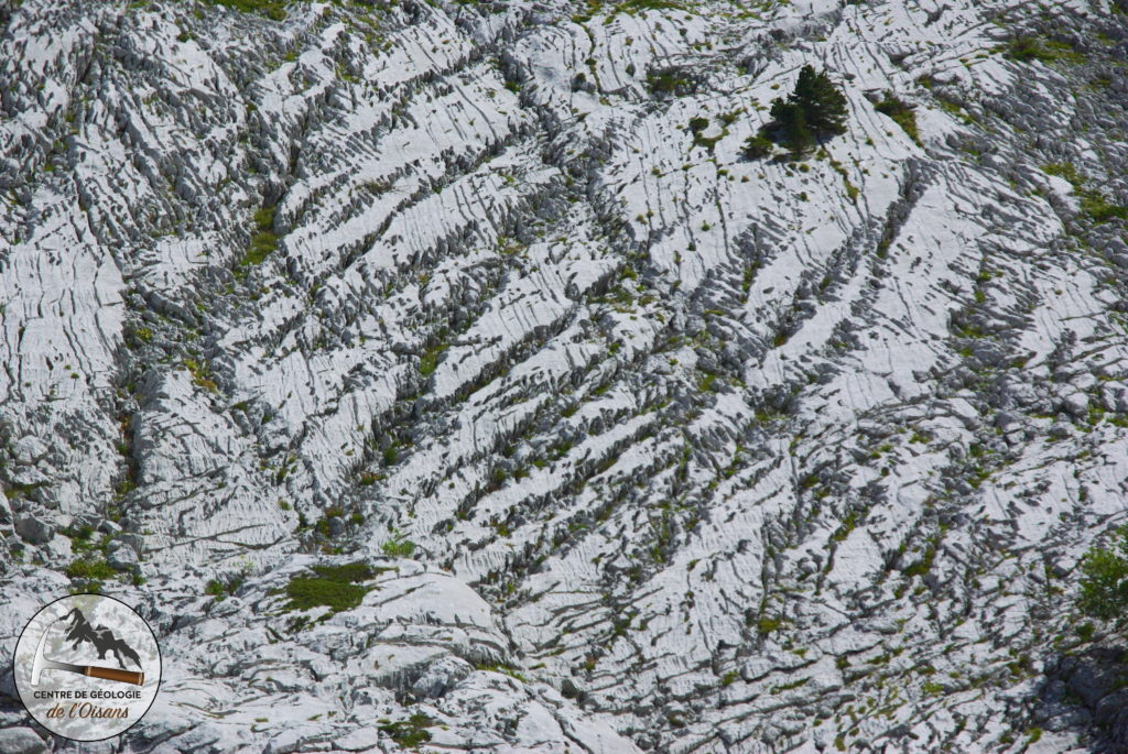 Le lapiaz en surface. La zone ou l'eau de pluie s'infiltre dans le calcaire. Les motifs géométriques permettent de deviner les guides géologiques permettant à l'eau de s'infiltrer.